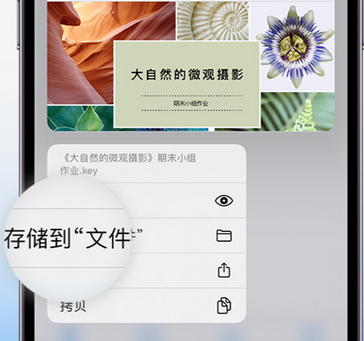 新郑apple维修中心分享iPhone文件应用中存储和找到下载文件