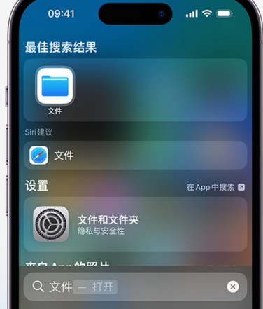 新郑apple维修中心分享iPhone文件应用中存储和找到下载文件