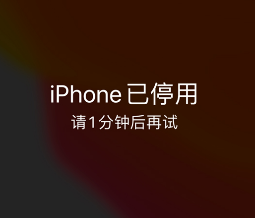 新郑苹果手机维修分享:iPhone 显示“不可用”或“已停用”怎么办？还能保留数据吗？ 