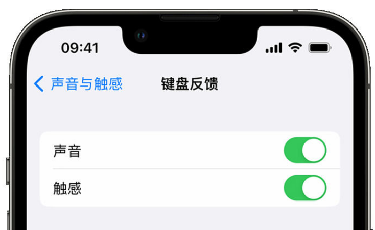 新郑苹果手机维修分享iPhone 14触感键盘使用方法 