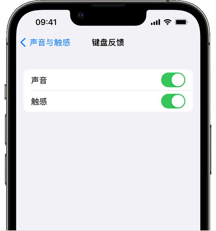 新郑苹果14维修店分享如何在 iPhone 14 机型中使用触感键盘 