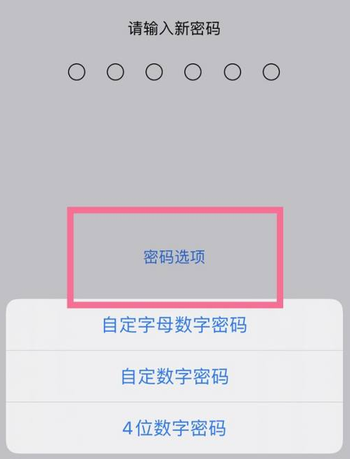 新郑苹果14维修分享iPhone 14plus设置密码的方法 