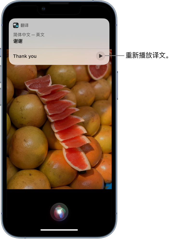 新郑苹果14维修分享 iPhone 14 机型中使用 Siri：了解 Siri 能帮你做什么 