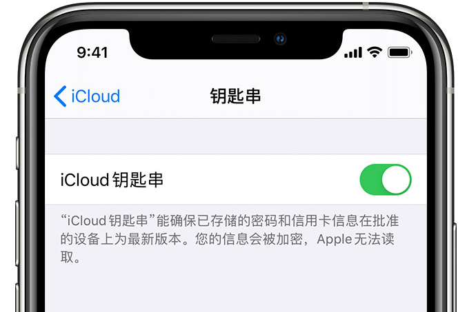 新郑苹果手机维修分享在 iPhone 上开启 iCloud 钥匙串之后会储存哪些信息 